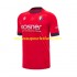 Maillot CA Osasuna Homme Tenue Domicile 2024-2025 Manche Courte