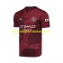 Maillot Manchester City Homme Tenue 3ème 2024-2025 Manche Courte
