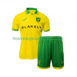 Maillot Norwich City Enfant Tenue Domicile 2025-2026 Manche Courte