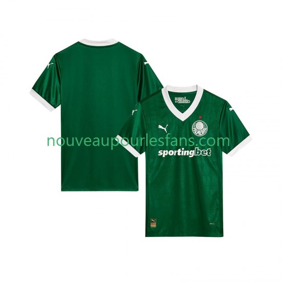 Maillot Palmeiras Homme Tenue Domicile 2025-2026 Manche Courte