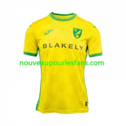 Maillot Norwich City Homme Tenue Domicile 2024-2025 Manche Courte