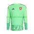 Maillot Tchéquie Gardien Homme Tenue Domicile 2026-2027 Manche Longue