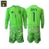 Maillot Espagne David Raya 1 Gardien Enfant Tenue 3ème 2026-2027 Manche Longue