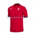 Maillot Georgia Homme Tenue 3ème Euro 2024 Manche Courte