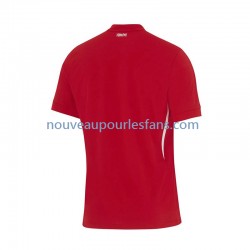 Maillot Turquie Homme Tenue Extérieur Euro 2024 Manche Courte