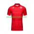 Maillot Tunisie Homme Tenue Domicile 2023-2024 Manche Courte