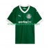 Maillot Palmeiras Homme Tenue Domicile 2025 Manche Courte