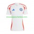 Maillot Chili Copa America Homme Tenue Extérieur 2024 Manche Courte