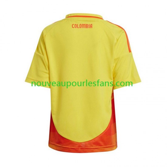 Maillot Colombie Copa America Homme Tenue Domicile 2024 Manche Courte