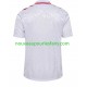 Maillot Danemark Homme Tenue Extérieur Euro 2024 Manche Courte