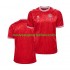 Maillot Danemark Homme Tenue Domicile Euro 2024 Manche Courte