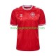 Maillot Danemark Homme Tenue Domicile Euro 2024 Manche Courte