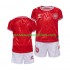 Maillot Danemark Enfant Tenue Domicile Euro 2024 Manche Courte
