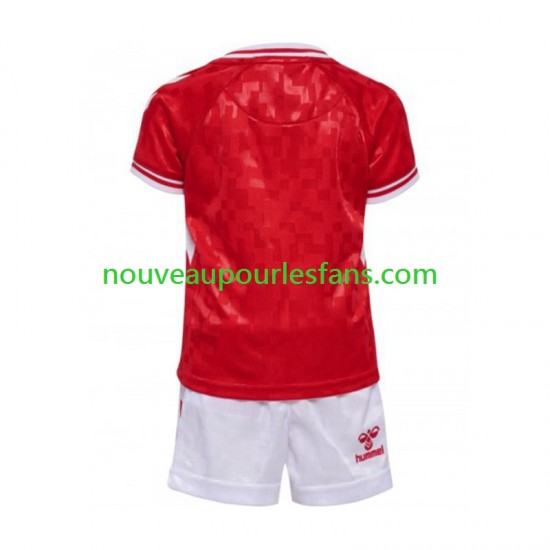 Maillot Danemark Enfant Tenue Domicile Euro 2024 Manche Courte