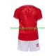 Maillot Danemark Enfant Tenue Domicile Euro 2024 Manche Courte