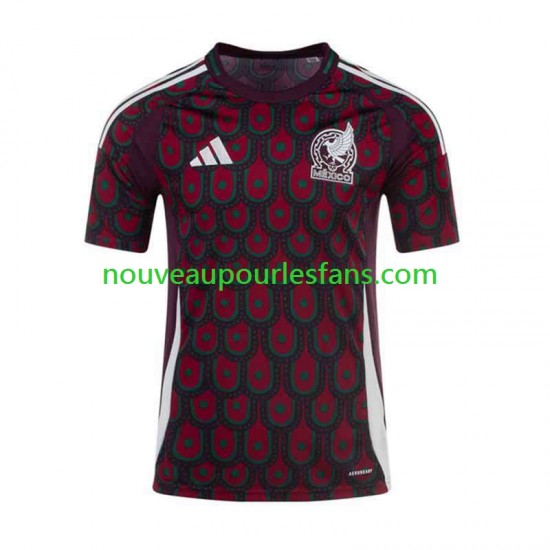 Maillot Mexique Copa America Homme Tenue Domicile 2024 Manche Courte