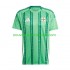 Maillot Irlande Du Nord Homme Tenue Domicile 2024 Manche Courte