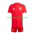 Maillot Pays de Galles Enfant Tenue Domicile 2024 Manche Courte