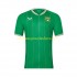 Maillot Irlande Homme Tenue Domicile 2023 Manche Courte