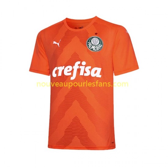 Maillot Palmeiras Gardien Homme Tenue 3ème 2022-2023 Manche Courte