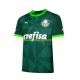 Maillot Palmeiras Homme Tenue Domicile 2023-2024 Manche Courte