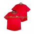 Maillot Portugal 2012 Rétro Homme Tenue Domicile Manche Courte