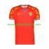 Maillot DR Congo Homme Tenue 3ème Coupe du Monde 2026 Manche Courte