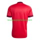 Maillot Olympique Lyonnais Homme Tenue Domicile 2026-2027 Manche Courte