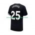 Maillot Chelsea Moises Caicedo 25 Homme Tenue 3ème 2025-2026 Manche Courte