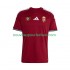 Maillot Hongrie Homme Tenue Domicile 2026 Manche Courte