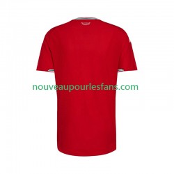 Maillot Pays de Galles Homme Tenue Domicile 2026 Manche Courte