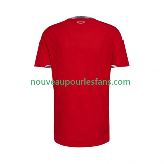 Maillot Pays de Galles Homme Tenue Domicile 2026 Manche Courte