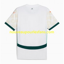 Maillot Côte d'Ivoire Homme Tenue Extérieur 2025 Manche Courte