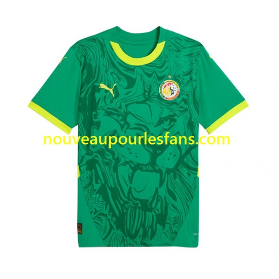 Maillot Sénégal Homme Tenue Extérieur 2025 Manche Courte