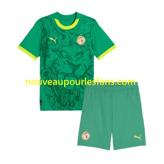Maillot Sénégal Enfant Tenue Extérieur 2025 Manche Courte