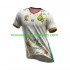 Maillot Cameroun Homme Tenue Extérieur 2026 Manche Courte