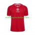 Maillot Danemark Homme Tenue Domicile 2026 Manche Courte