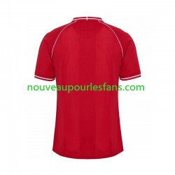 Maillot Danemark Homme Tenue Domicile 2026 Manche Courte