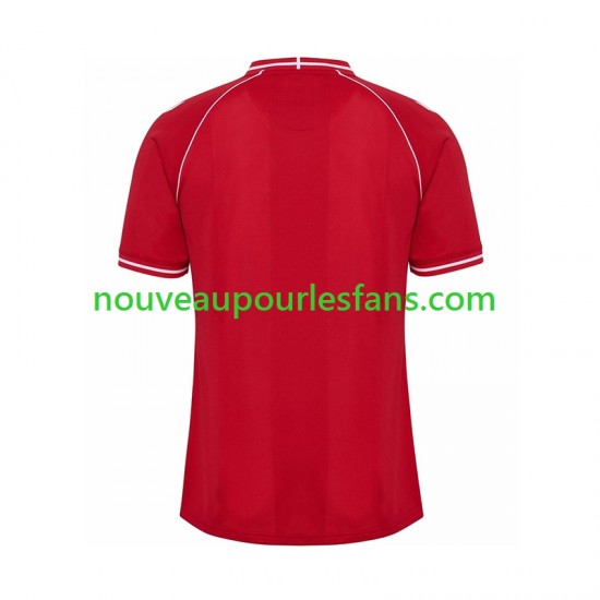 Maillot Danemark Homme Tenue Domicile 2026 Manche Courte