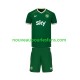 Maillot Irlande Enfant Tenue Domicile 2026 Manche Courte