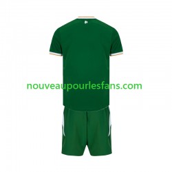Maillot Irlande Enfant Tenue Domicile 2026 Manche Courte