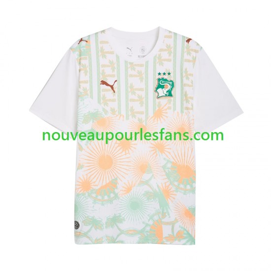Maillot Côte d'Ivoire Homme Tenue Extérieur Coupe du Monde 2026 Manche Courte