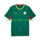 Maillot Sénégal Homme Tenue Extérieur 2026 2027 Manche Courte