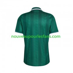 Maillot Afrique Du Sud Homme Tenue Extérieur Coupe du Monde 2026 Manche Courte
