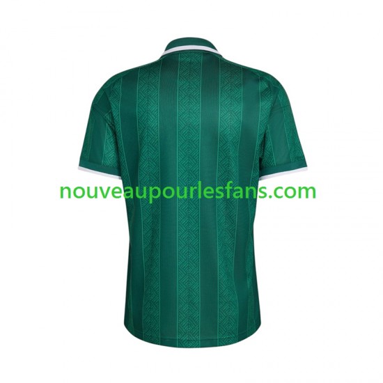 Maillot Afrique Du Sud Homme Tenue Extérieur Coupe du Monde 2026 Manche Courte