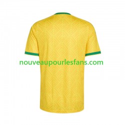 Maillot Afrique Du Sud Homme Tenue Domicile Coupe du Monde 2026 Manche Courte