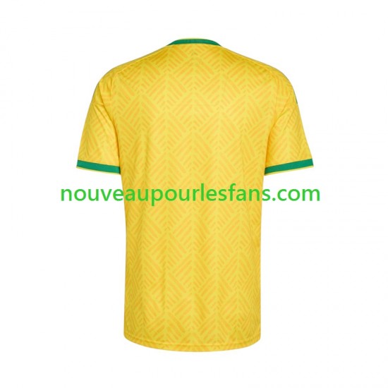 Maillot Afrique Du Sud Homme Tenue Domicile Coupe du Monde 2026 Manche Courte