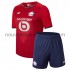 Maillot OSC Lille Enfant Tenue Domicile 2021-2022 Manche Courte