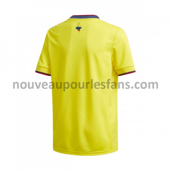 Maillot Colombie Tenue Domicile 2020-2021 Manche Courte