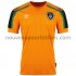 Maillot Irlande Tenue Extérieur 2021-2022 Manche Courte